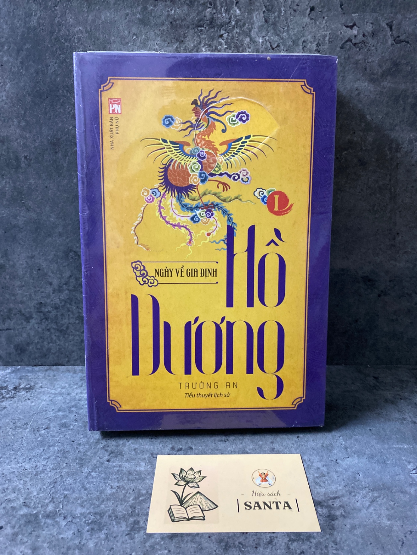 Hồ Dương tập 1 Ngày về Gia Định- Trường An- tiểu thuyết lịch sử- Sách lưu kho mới 90%