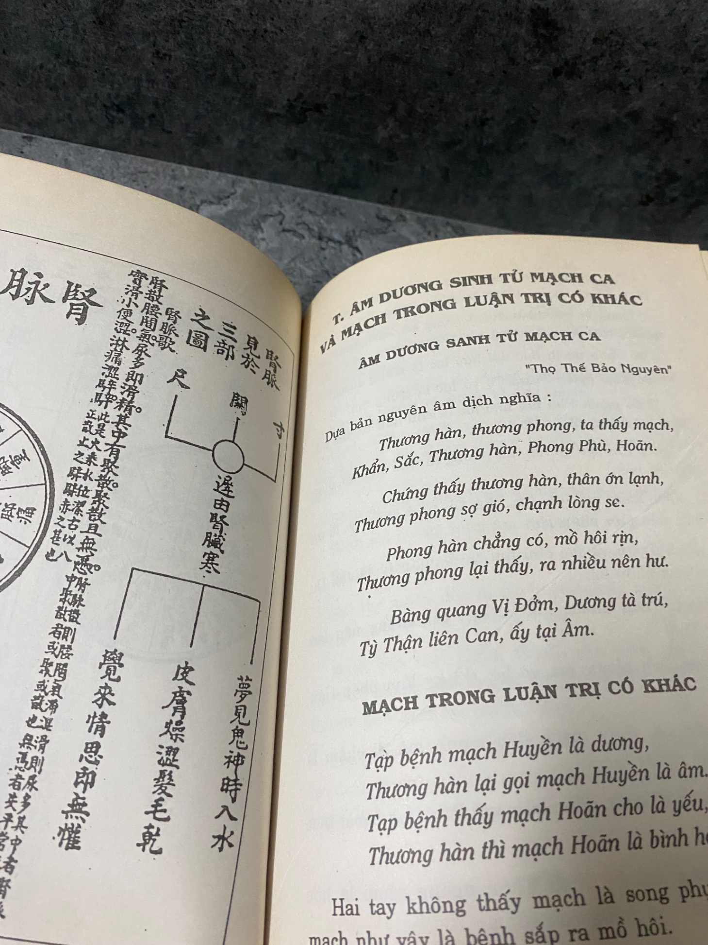 Mạch học lược giảng- Lương y Trần Khiết